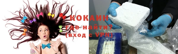 apvp Алзамай