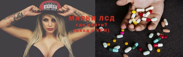 apvp Алзамай