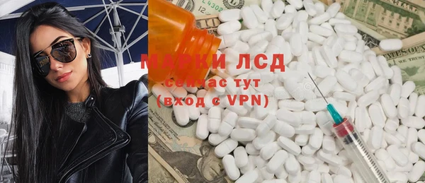 apvp Алзамай