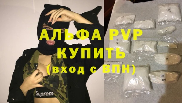 apvp Алзамай